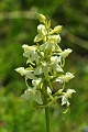 07 06 15_4932_edited-1
